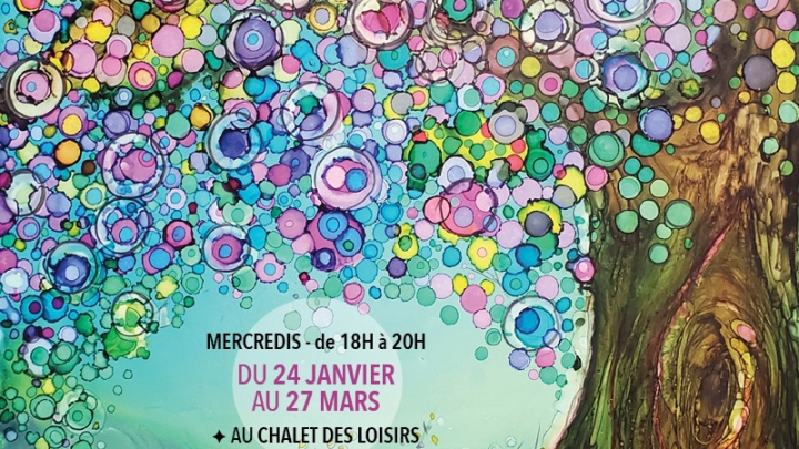 Cours d'art - LES ENCRES À L'ALCOOL