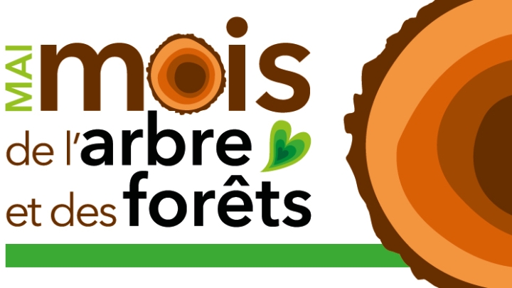 DISTRIBUTION DE PLANTS D'ARBRES GRATUIT