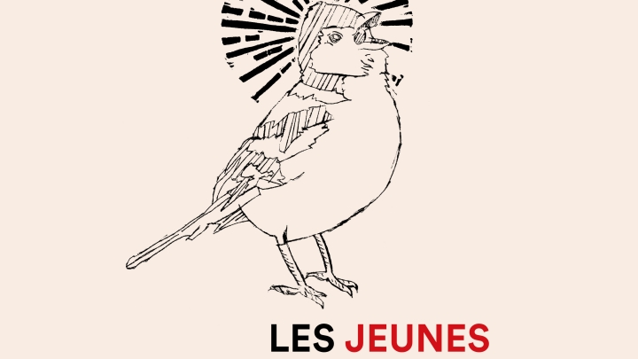 Les jeunes s'exposent