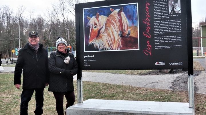 Oeuvres de l'artiste Lise DesRosiers