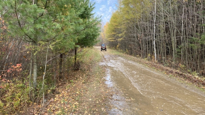 Règlementation pour la Forêt Drummond