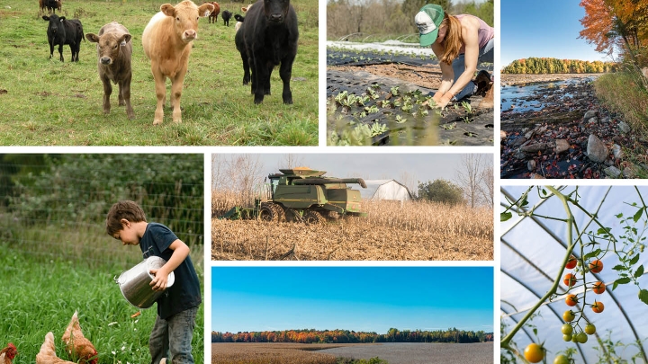 Développement et mise en valeur de la zone agricole