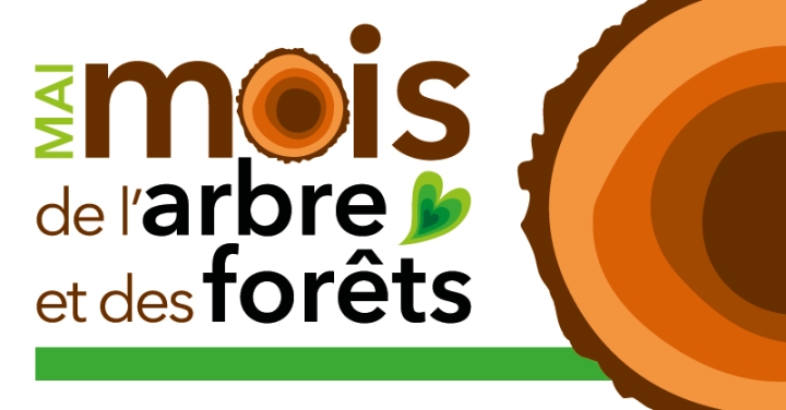 DISTRIBUTION DE PLANTS D'ARBRES GRATUIT