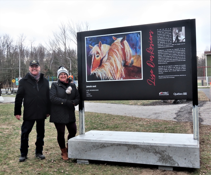 Oeuvres de l'artiste Lise DesRosiers