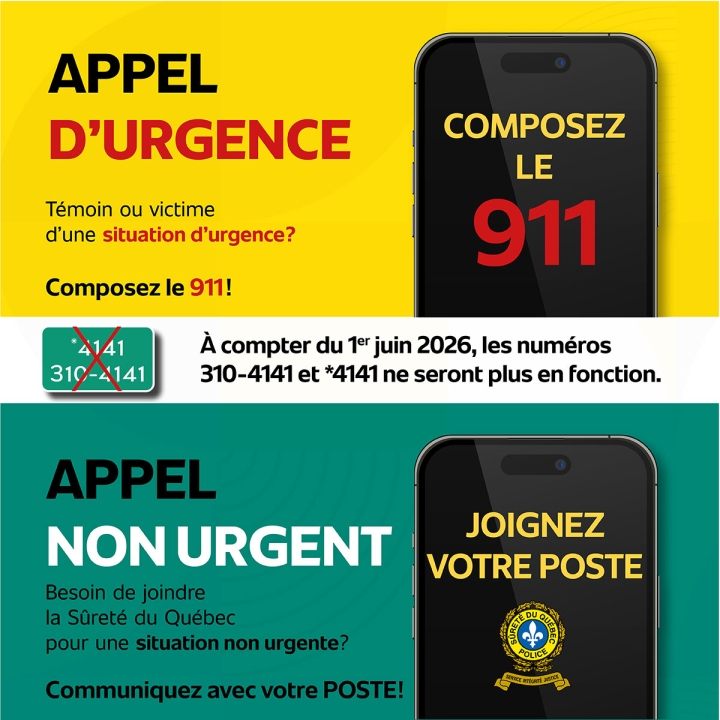 Retrait des lignes 310‑4141 et *4141