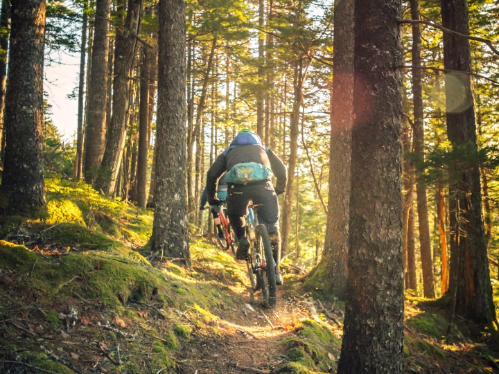 Projet de sentiers de vélo au Parc de la Fôret Drummond